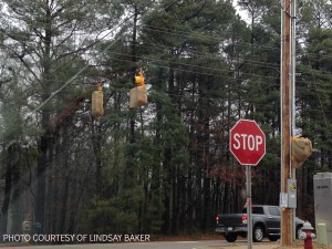 A photograph of one of the three new stop lights at the intersection of Leesville Road and Fairbanks road. The new stop lights are being installed because of how difficult and dangerous it is to turn left onto Fairbanks Road. 