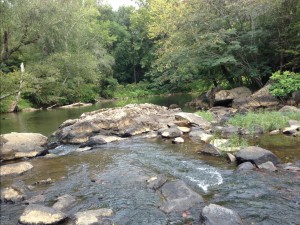 A Refuge in the Triangle: Eno River