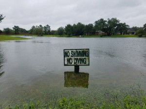 The lake in Thai’s neighborhood overflooding. Many houses in Houston are built around bodies of water, so many houses flooded.. (Photos used by permission of Kelly Thai)