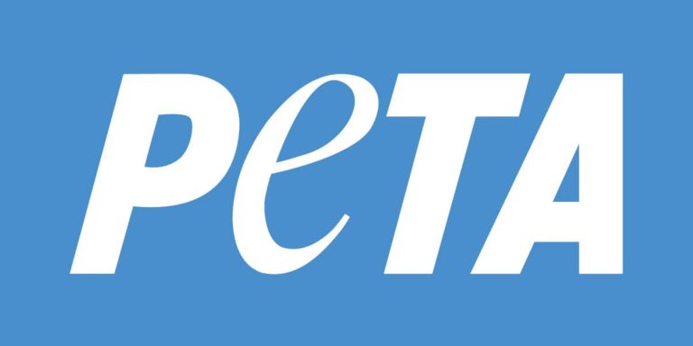 PETA: A hotbed of controversy