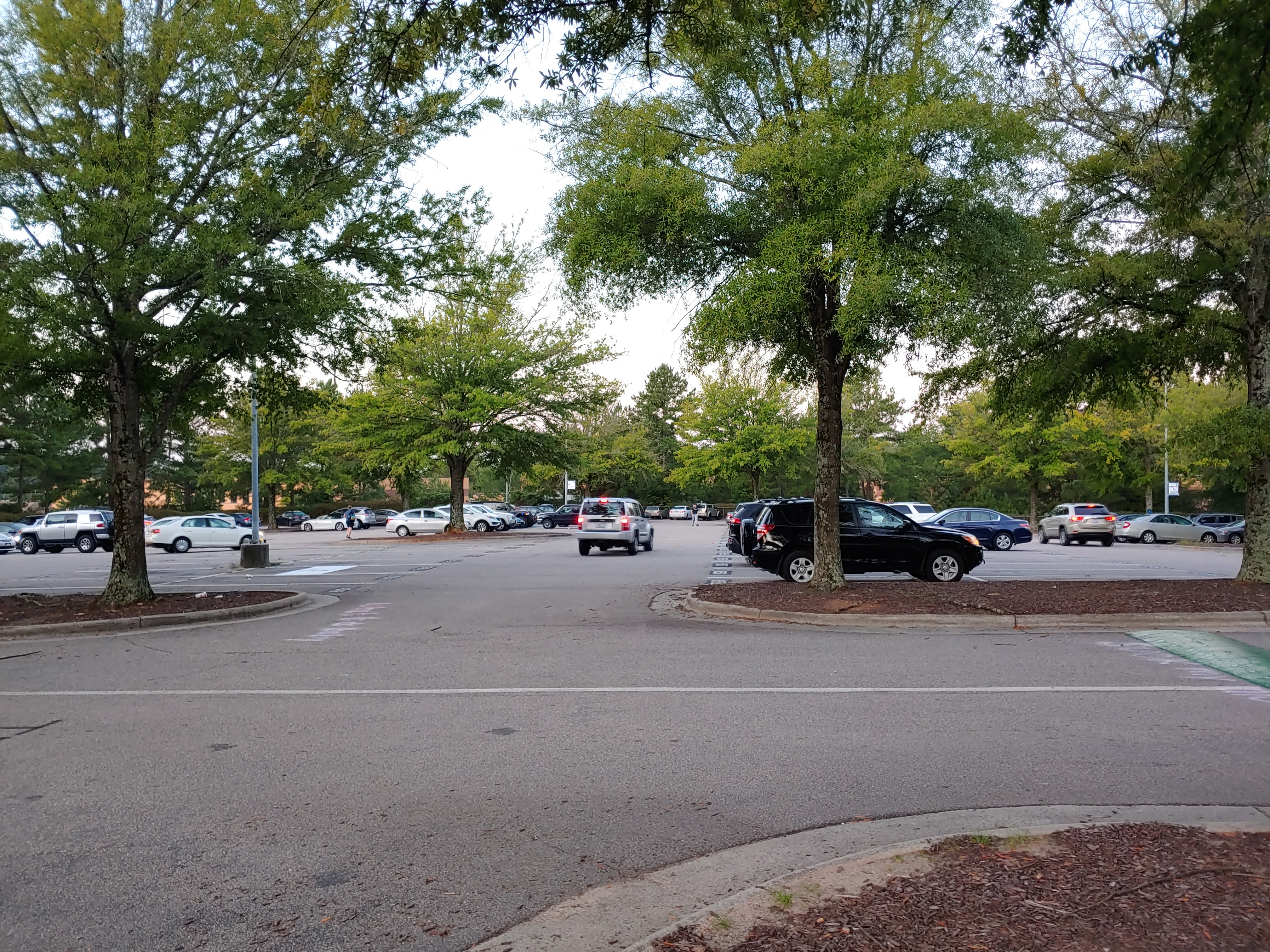 Parking Lot Chaos: Split Lunch’s Impact on the Student Lot