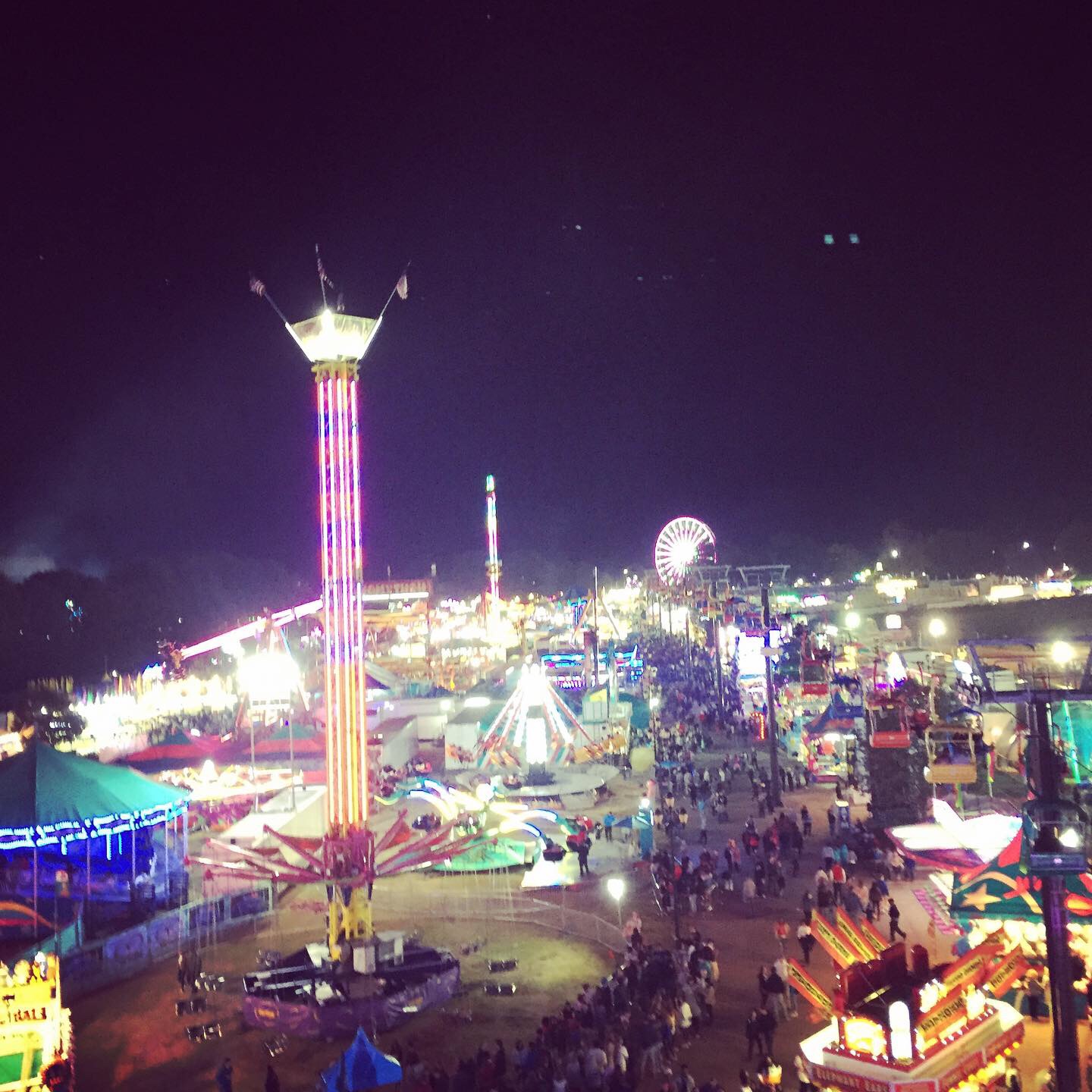 A Day at the State Fair