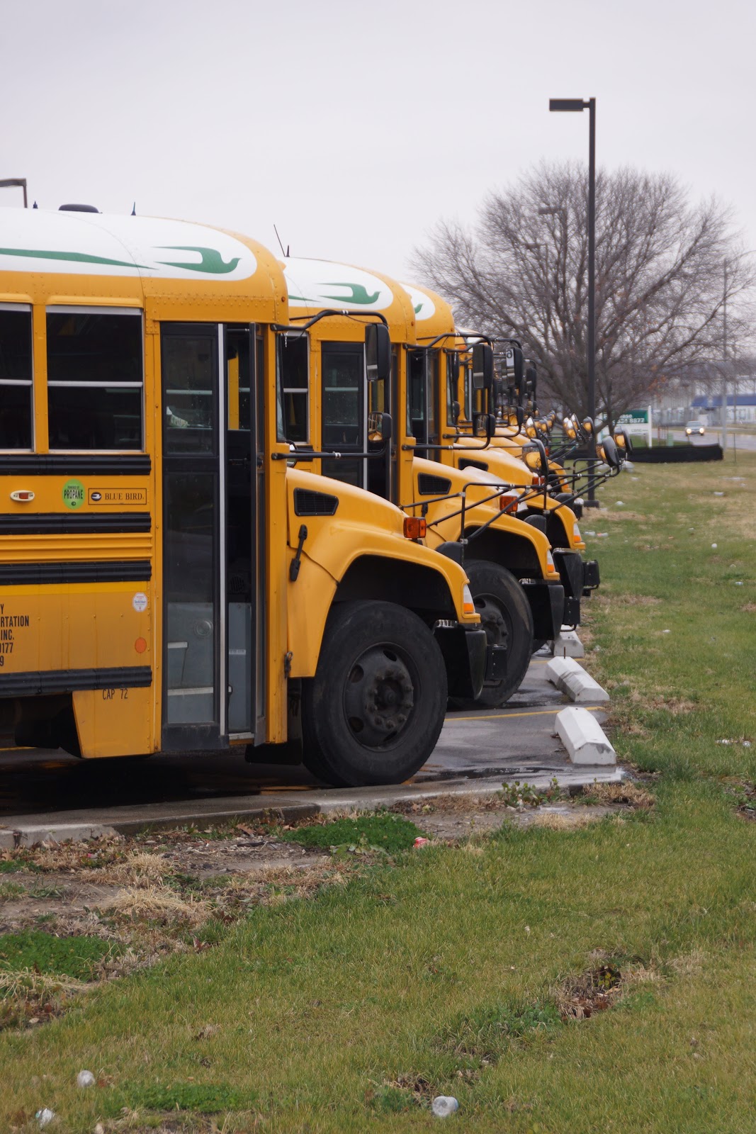 Wake County Elementary Students Return to School