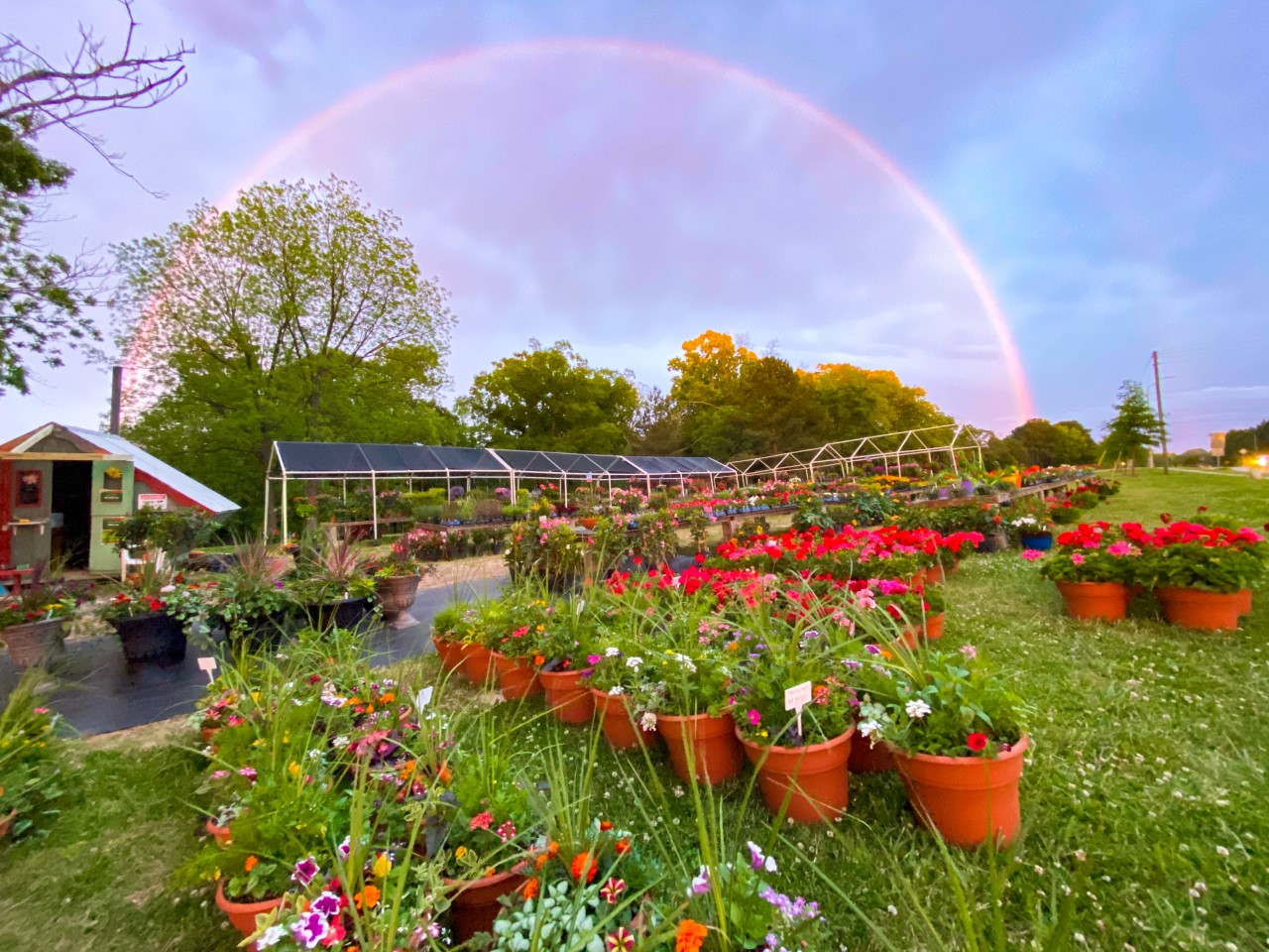 Gertie’s Flowers on Leesville Road