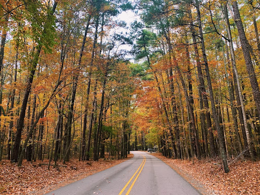 Autumn At Umstead – A Photo Story