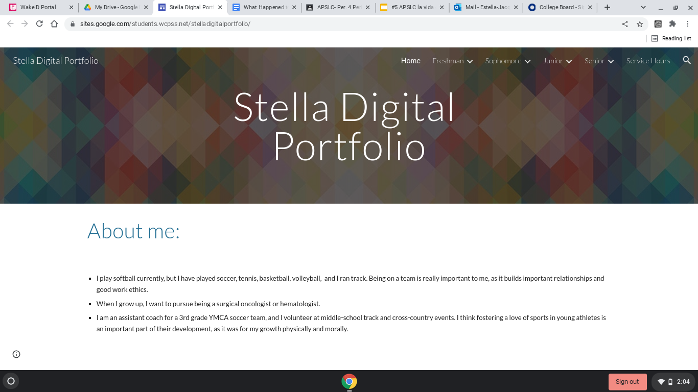 What Happened to “Required” Student Digital Portfolios?