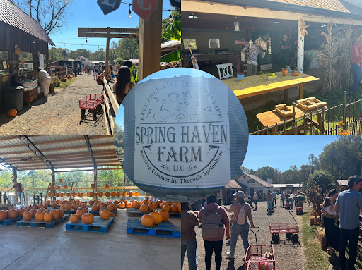 Spring Haven Farms Is the perfect fall afternoon