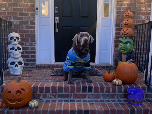 How do kids celebrate Halloween around the world?