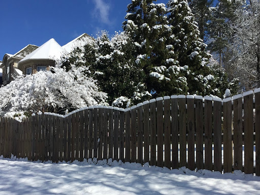 Potential snowfall in Raleigh on the weekend of January 10